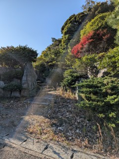 緑に囲まれた石段を上る家